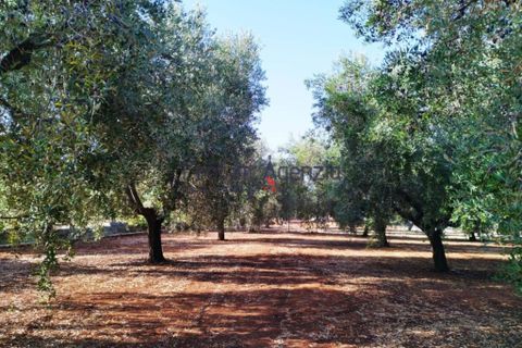 Landejendom i Carovigno, Brindisi, Carovigno - € 140.000 | Ref: 122621 - foto 13